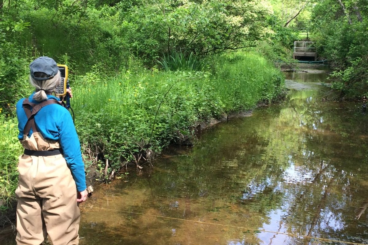 Staff members from the Department of Ecological Restoration measuring stream height and flow