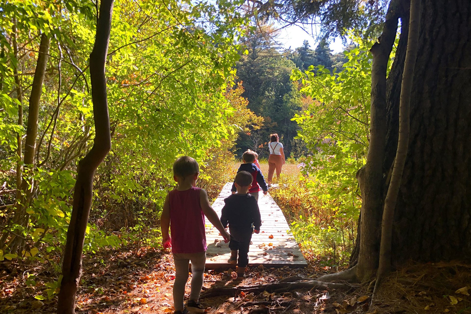 Preschools walking on a boardingwalk