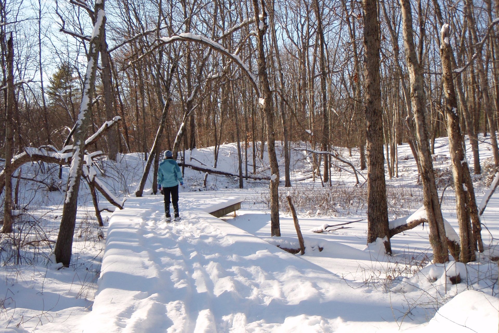 Person snowshoeing on a boardwalk