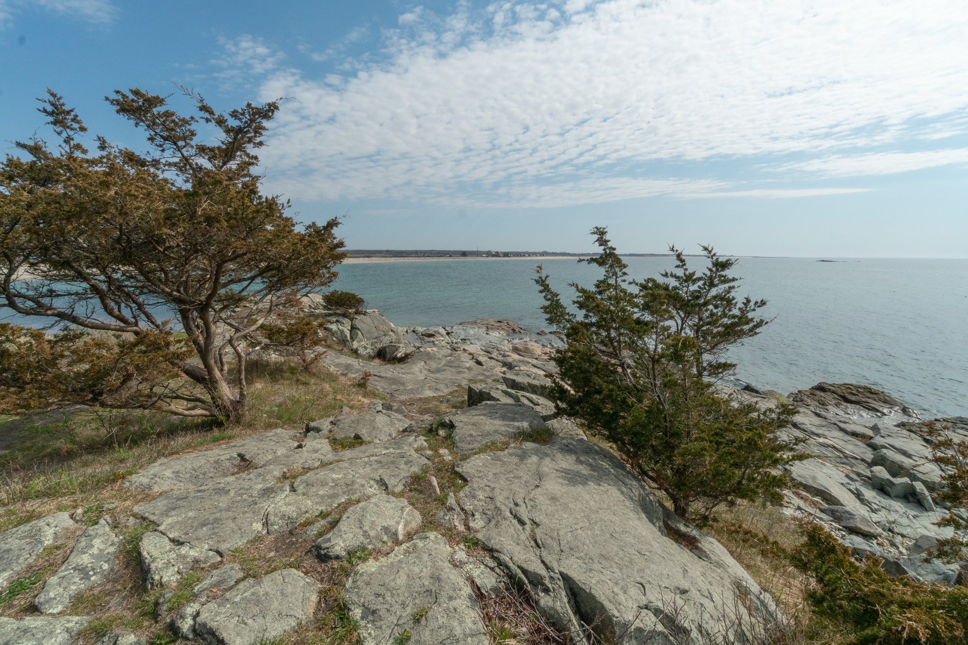 A rocky ledge with two green shrubs overlooking the shoreline. Large, sharp rocks stick out of the water.