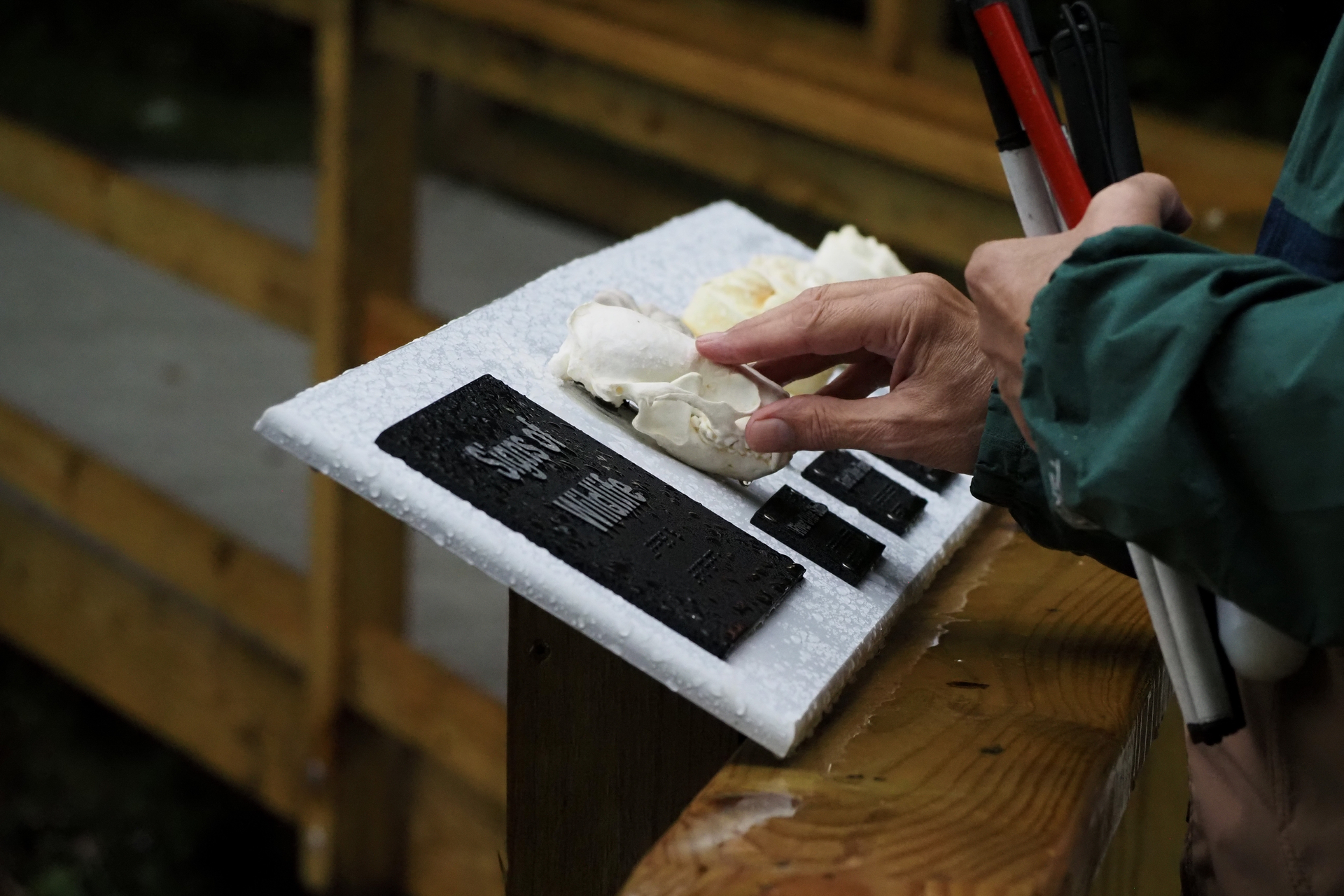 Person touching a skull on one of the All Persons Trail's tactile displays