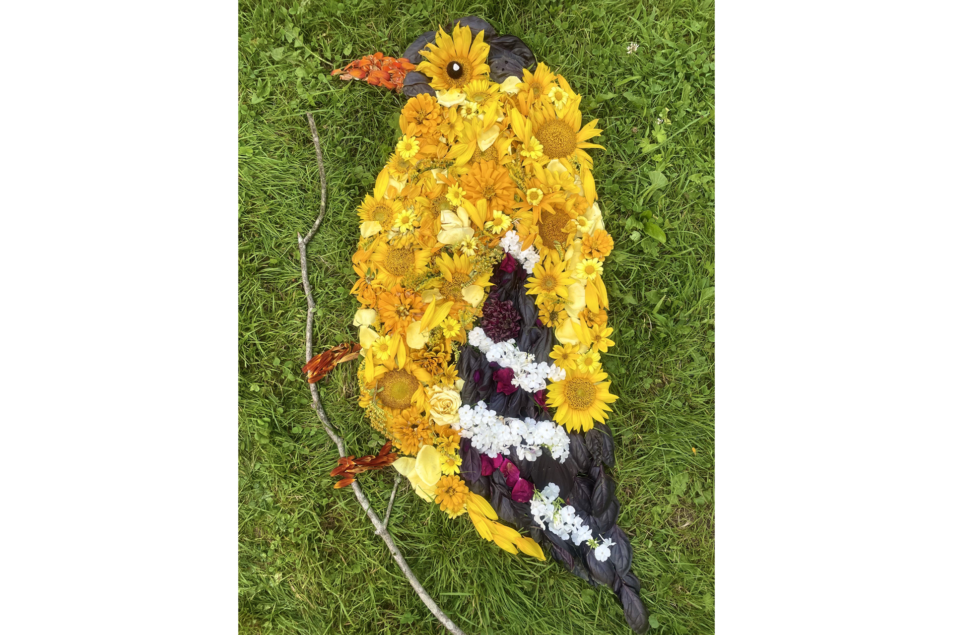 Flowers and leaves arranged into a representation of a goldfinch on a branch