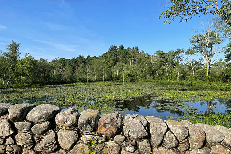 Stone bridge overlooking the Waterfowl Pond