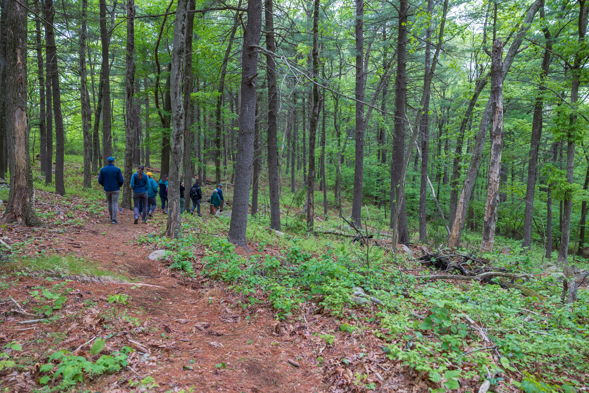 People Walking on Trail