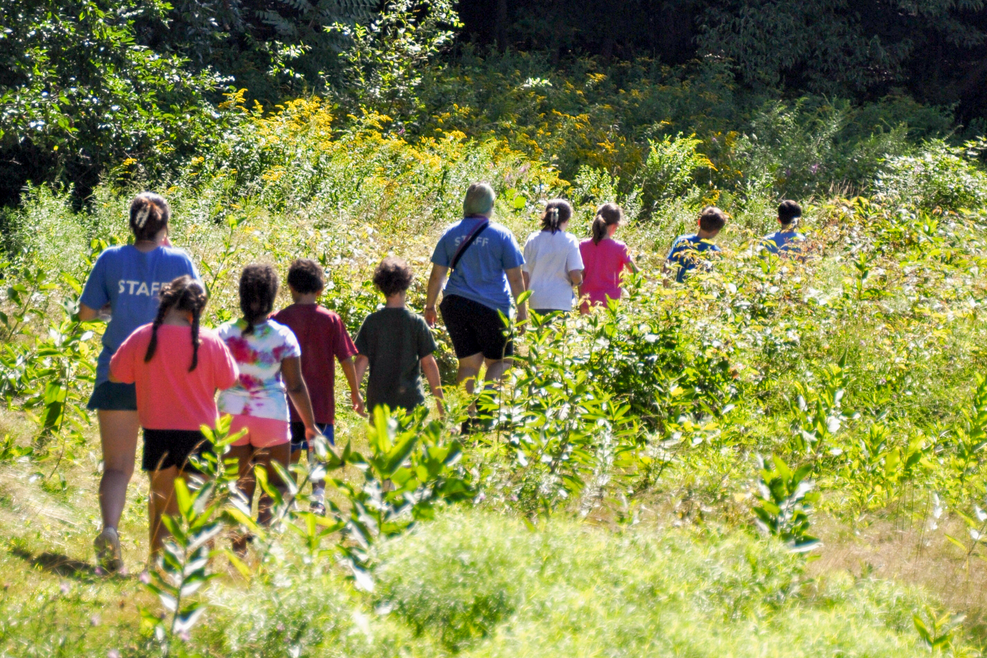 A group of campers at Wild At Art Nature Camp walking through a lush, green meadow with their counselors