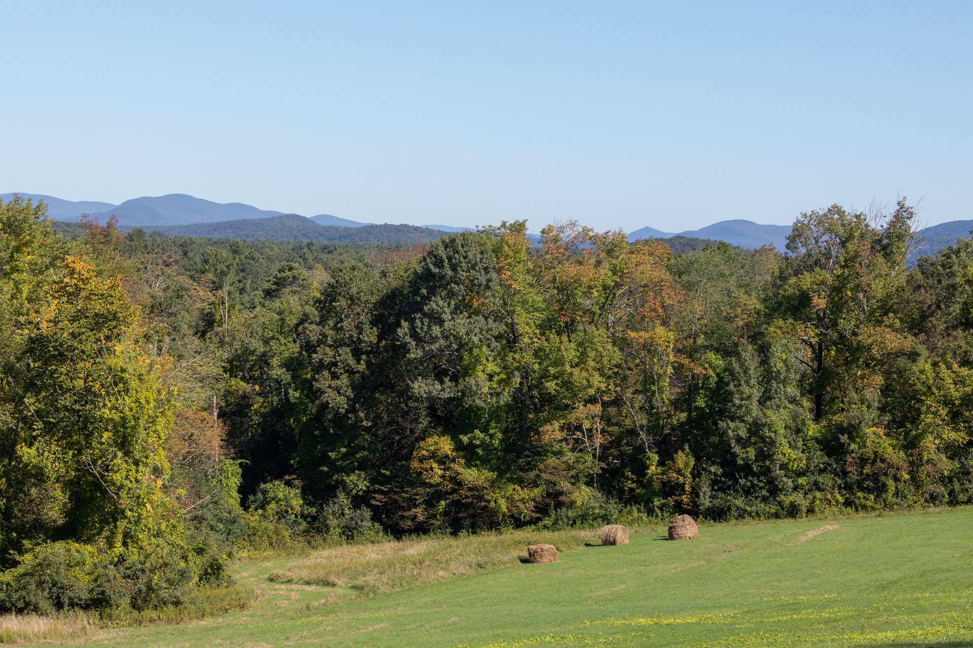 Hay stacks at the bottom of a rolling hill in front of a forest. Mountains peak out in the background.