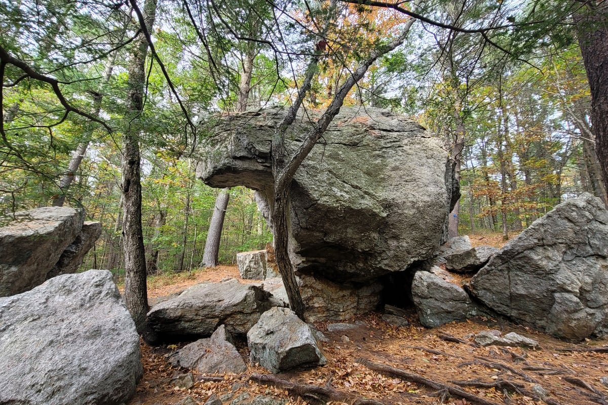 Large Boulders at Wachusett Meadow