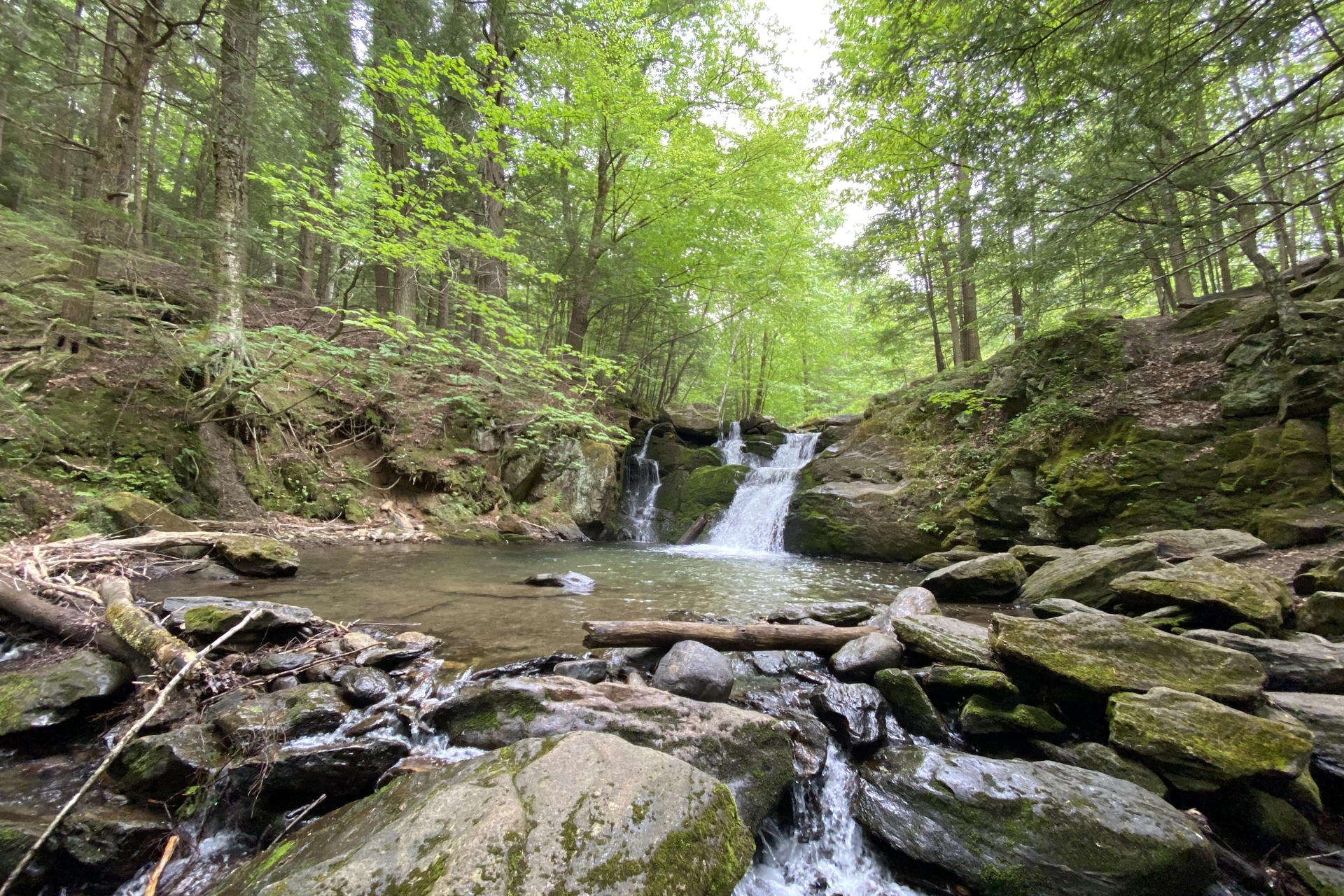 A small waterfall in the distance at the head of a small river, surrounded by lush green forest