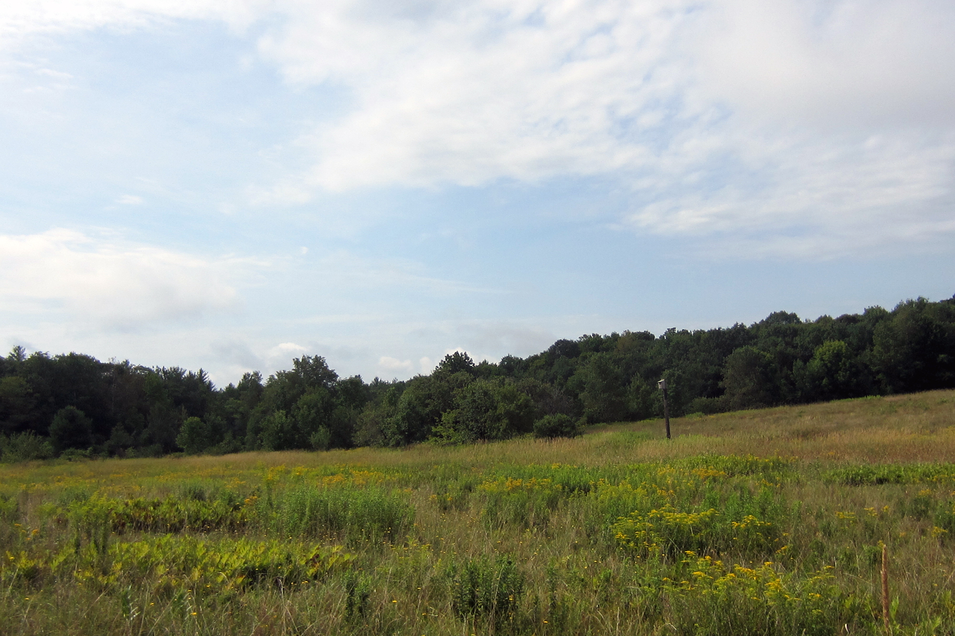 field with nest box