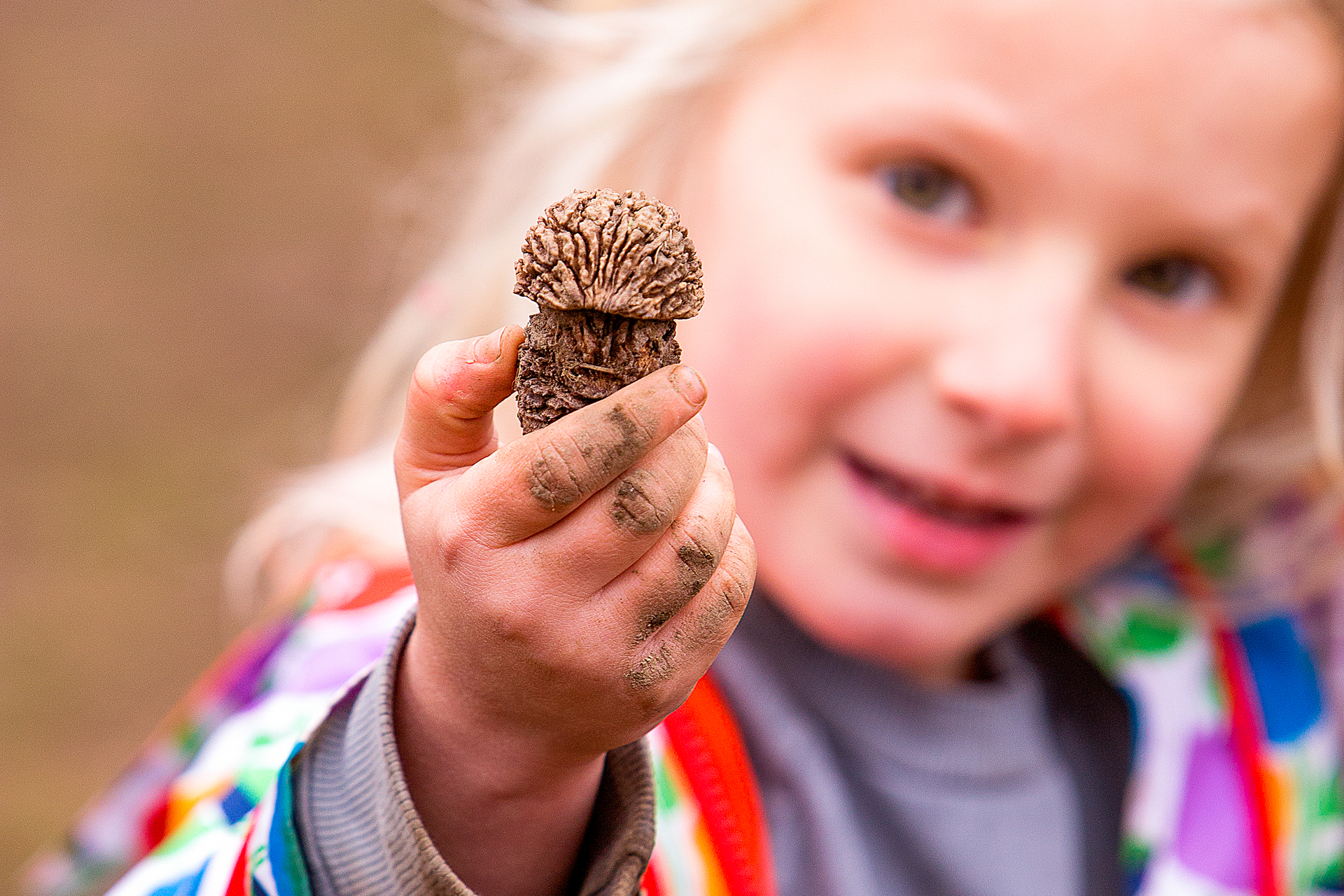 A preschool-age child holds up a woody mushroom she found to the camera, at Drumlin Farm Nature Preschool