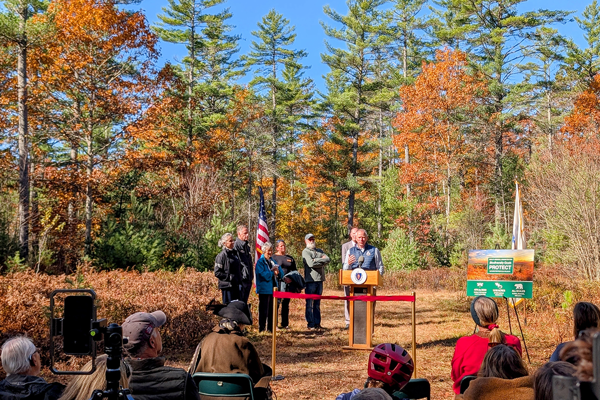 people sitting and standing at podium in a field