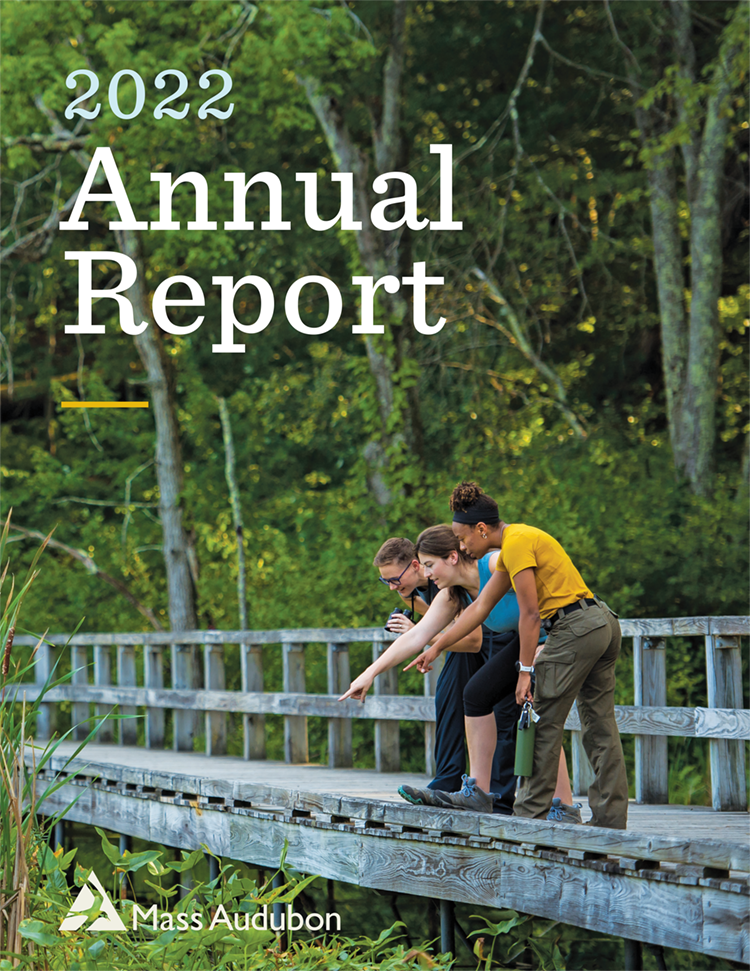 Cover of the 2022 Annual Report with three people on a boardwalk