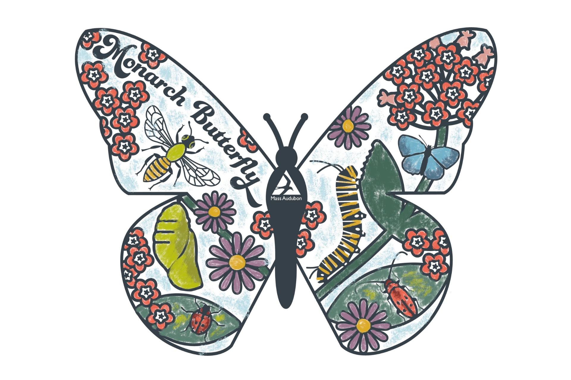 butterfly coloring page