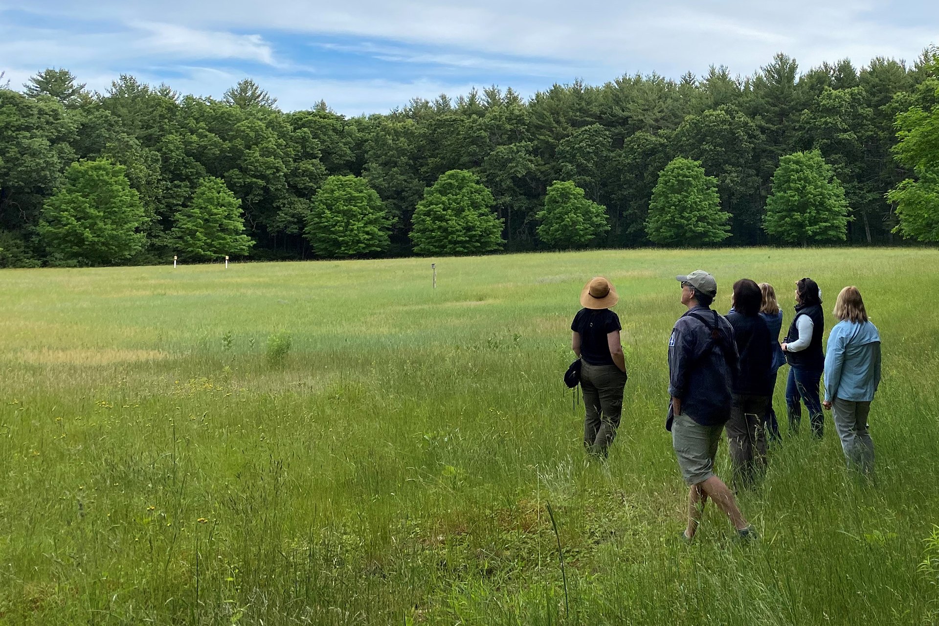 Group of people in a field looking for birds