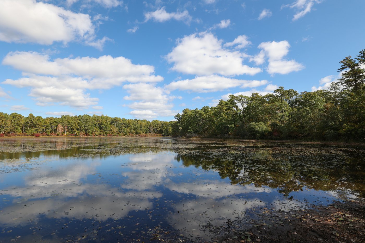 Pond with reflection of clouds in the water