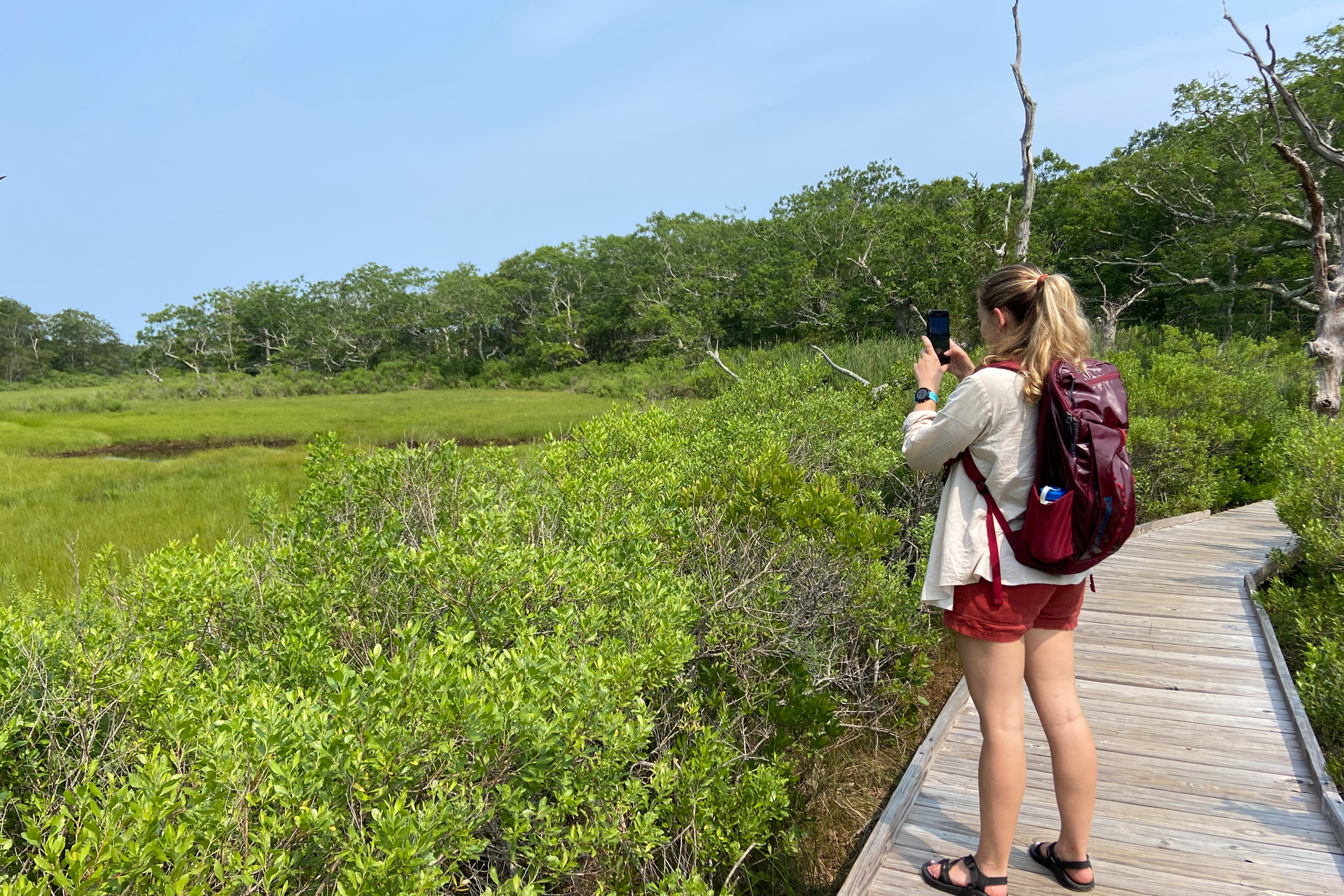 Person taking photo from boardwalk