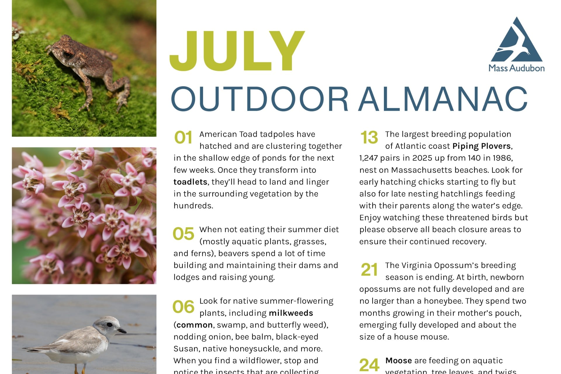 outdoor almanac preview