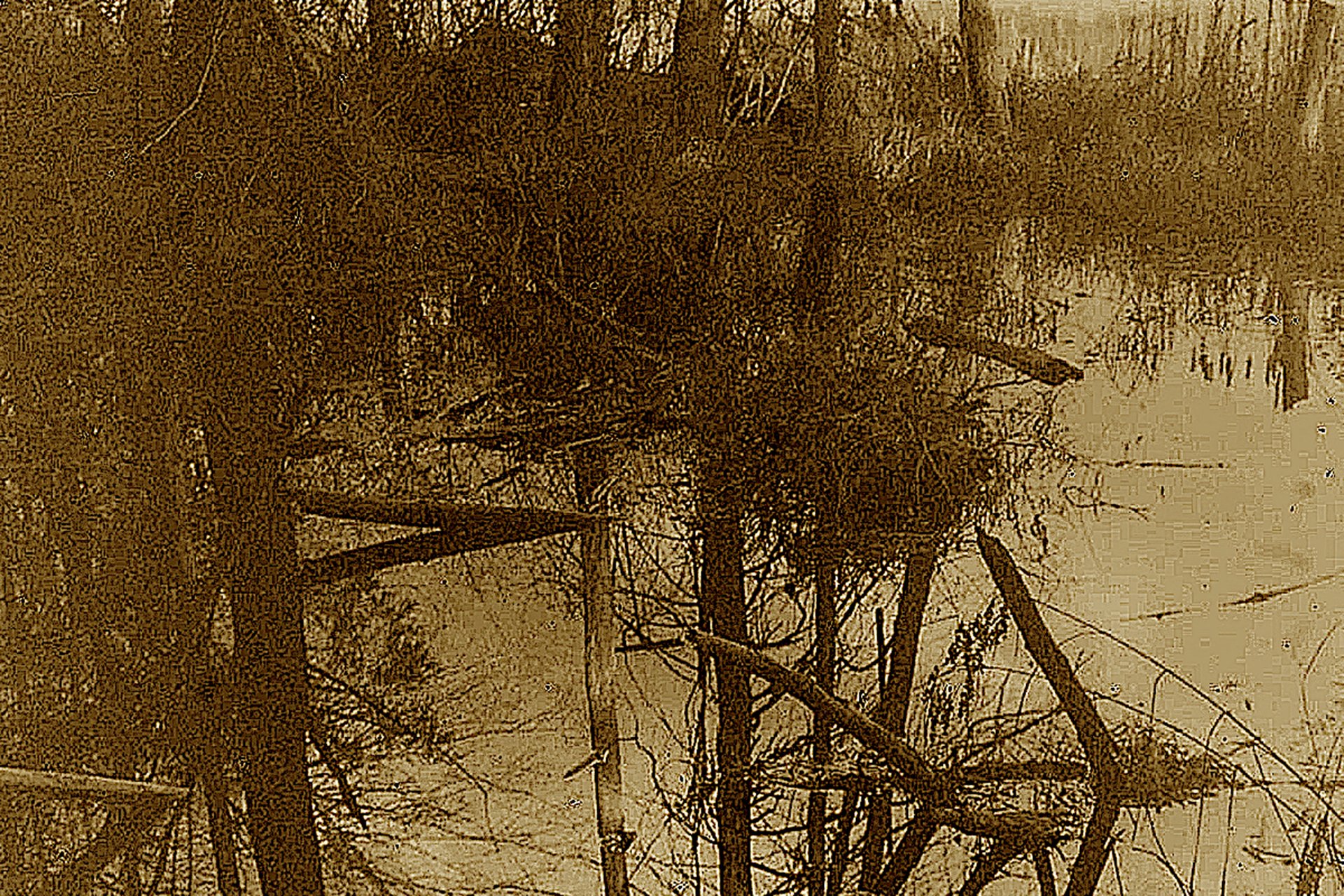 Cropped sepia photograph of water and trees © Randy Johnson