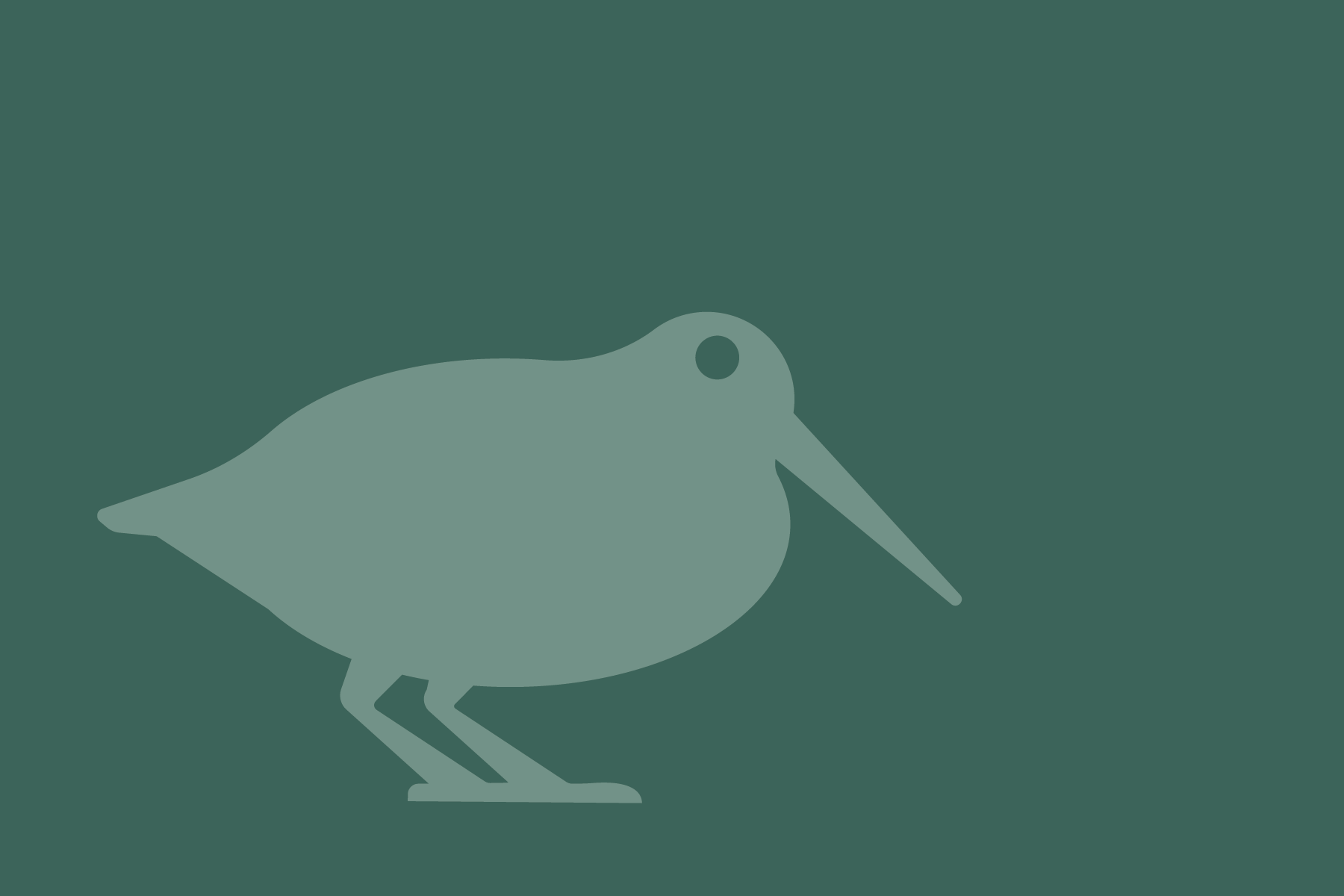 woodcock two tone graphic