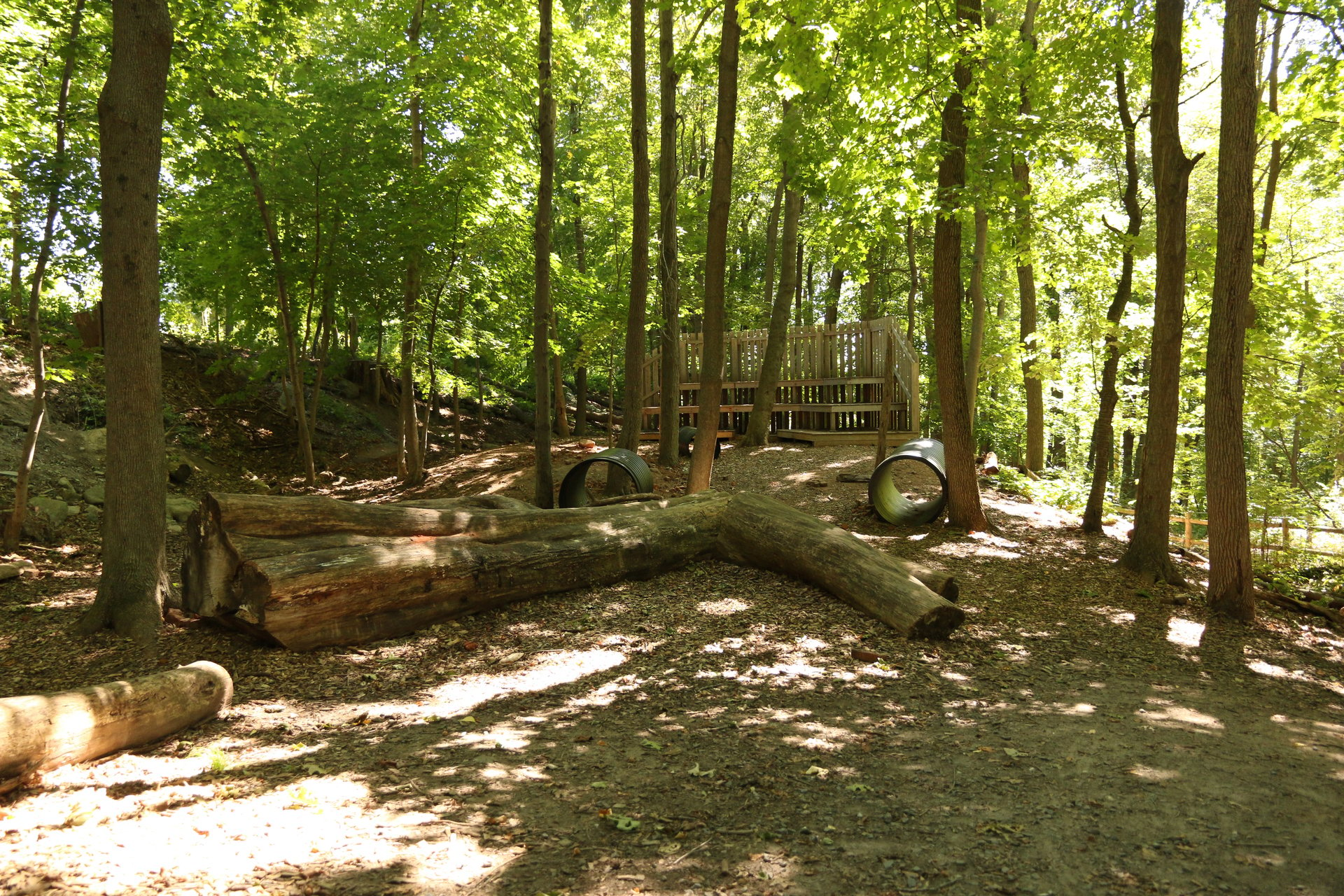 Nature play area