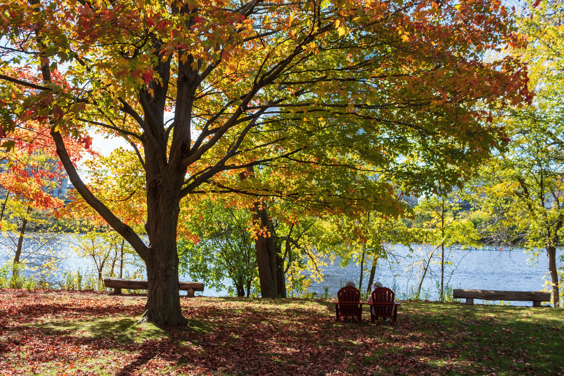 Magazine beach in the fall