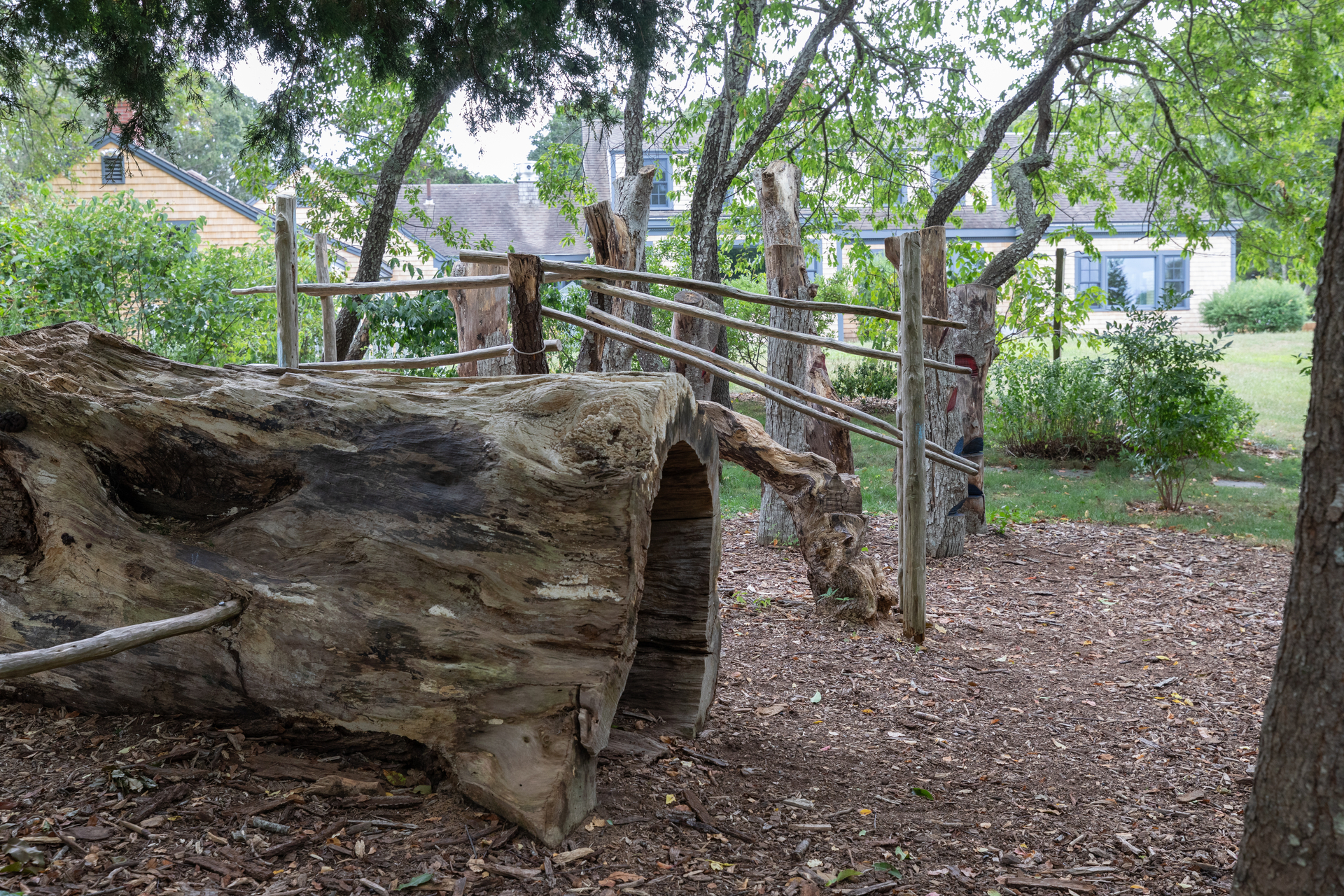 A tunnel through a fallen tree trunk and an obstacle made from logs.