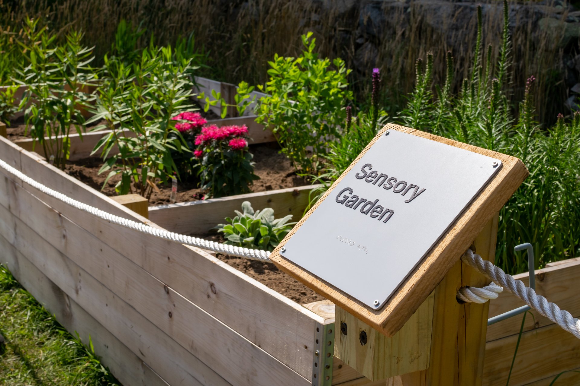 sensory garden sign and garden