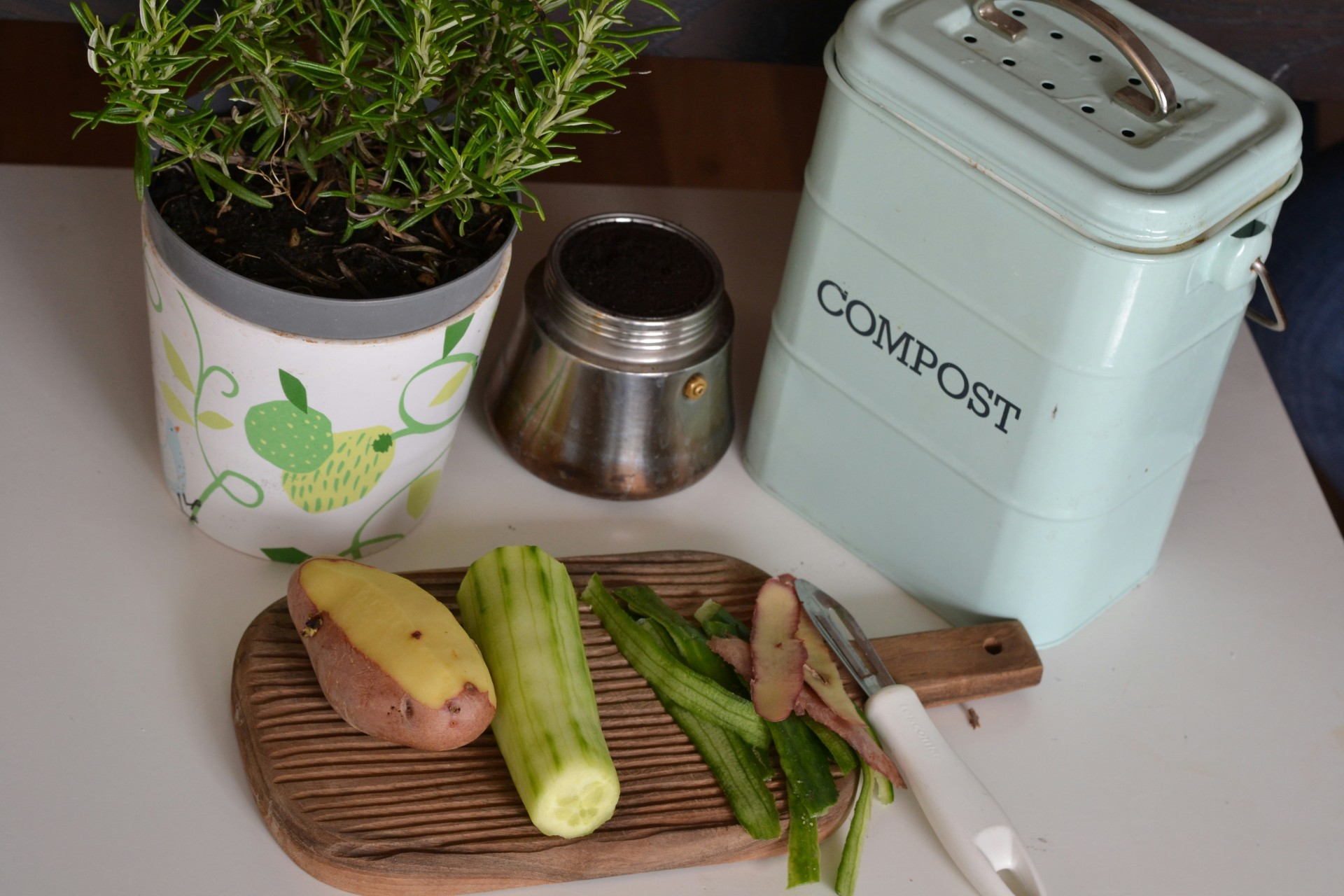 compost bin with kitchen scraps