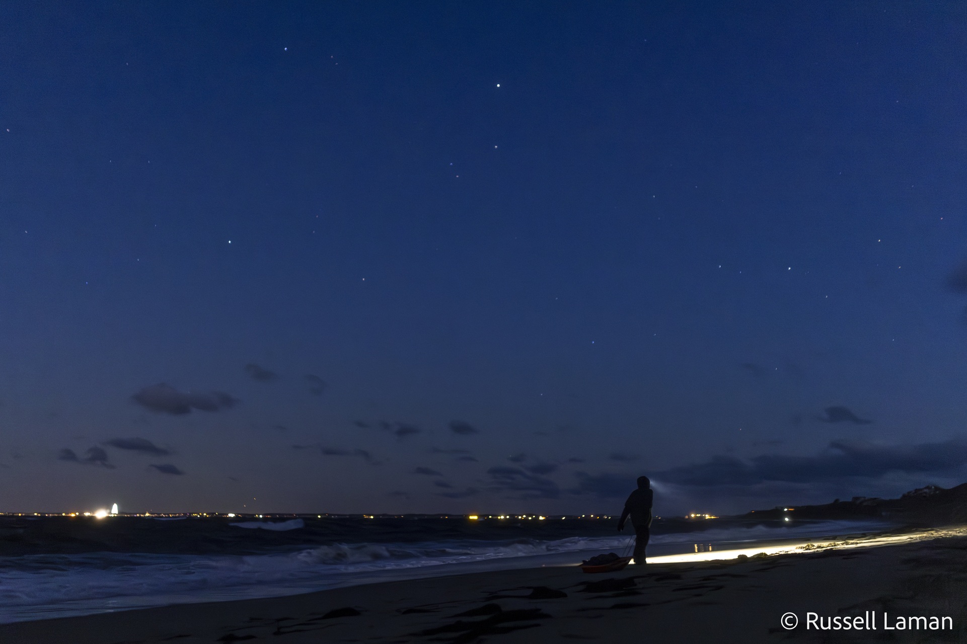 searching for turtles at night