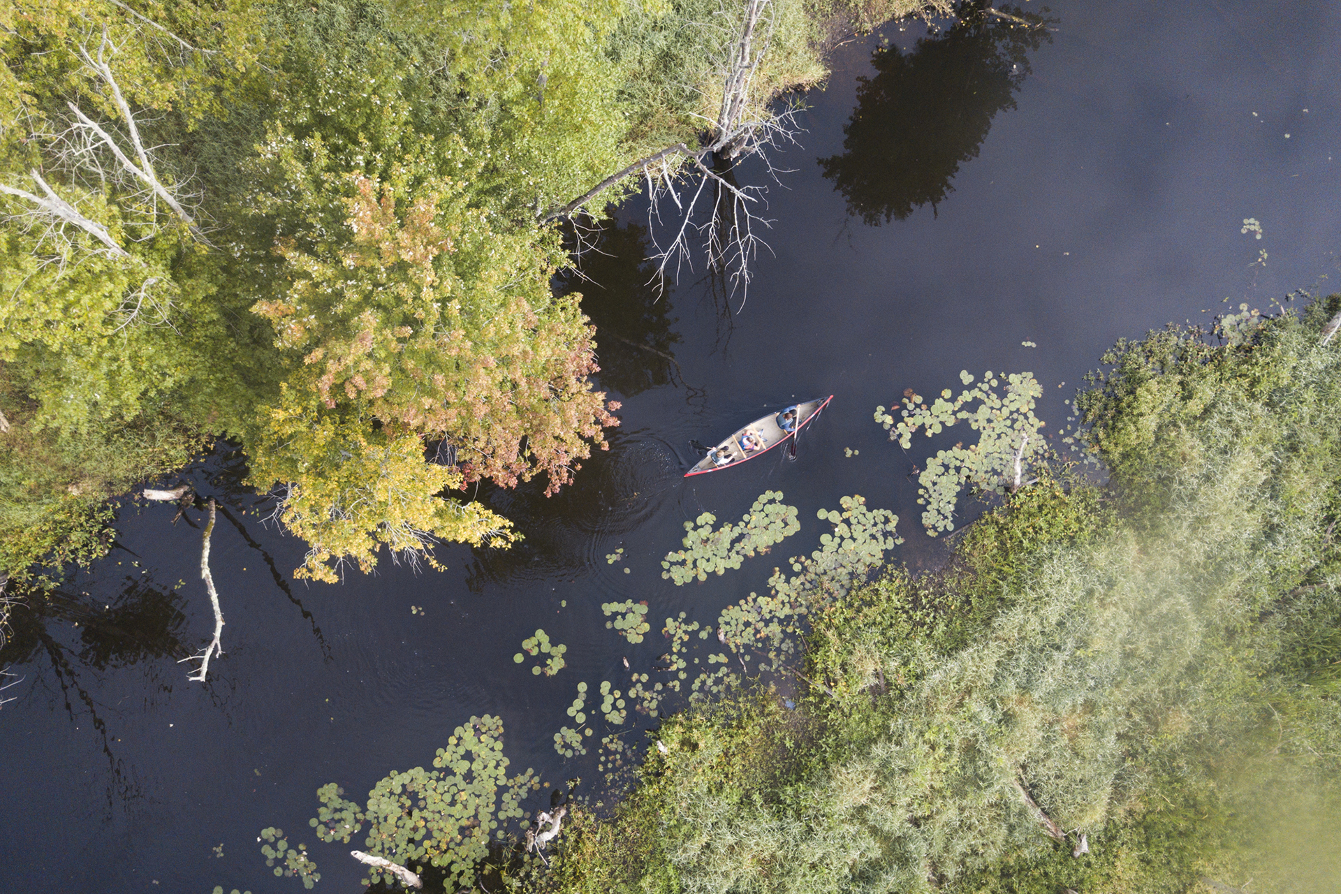 Drone footage looking down at people canoeing on Ipswich River in fall