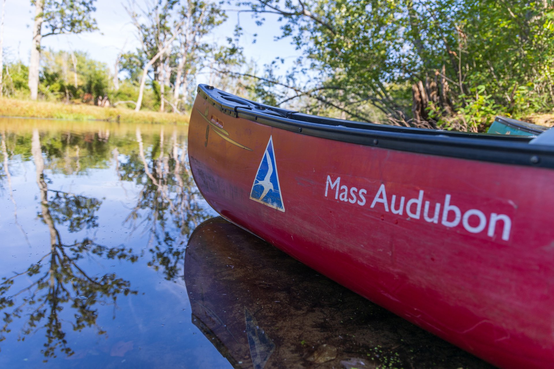 up close shot of a canoe with Mass Audubon logo