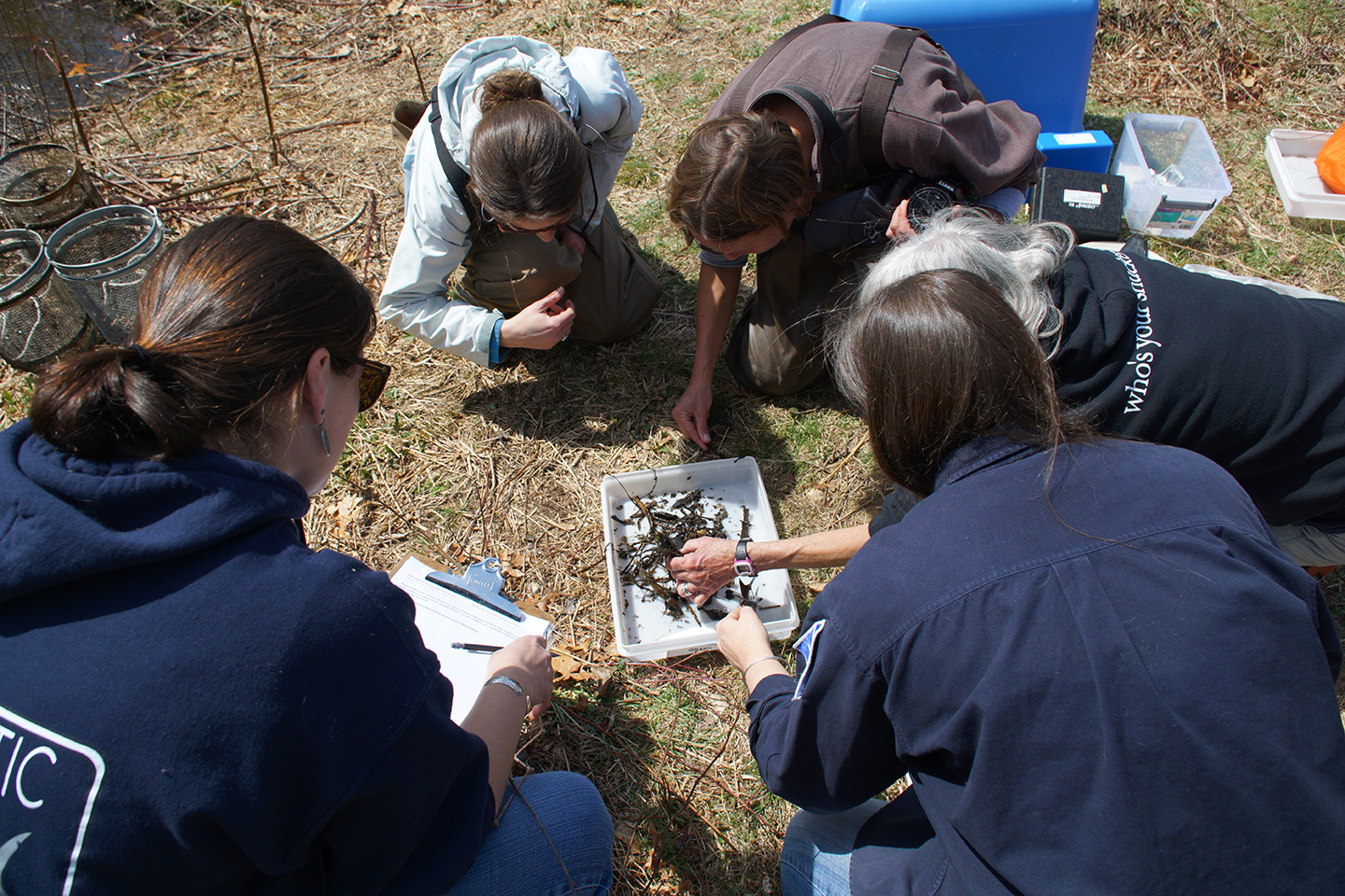 teachers knelling down looking at things collected in a dish