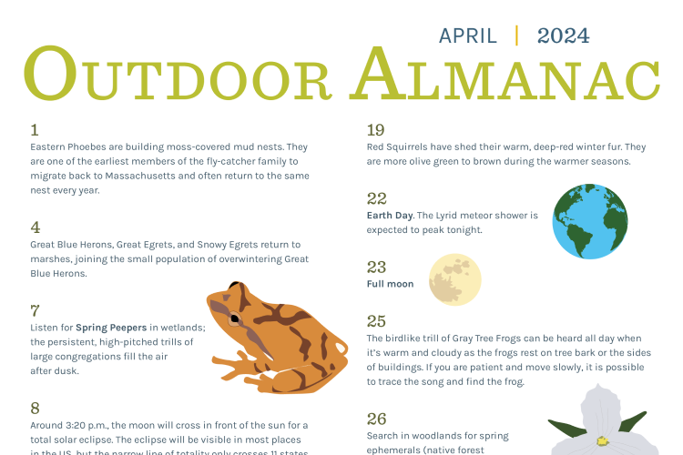 Preview of almanac with text and images