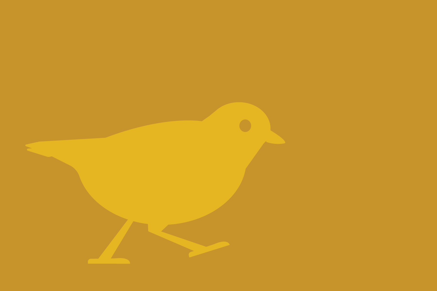 piping plover two tone graphic