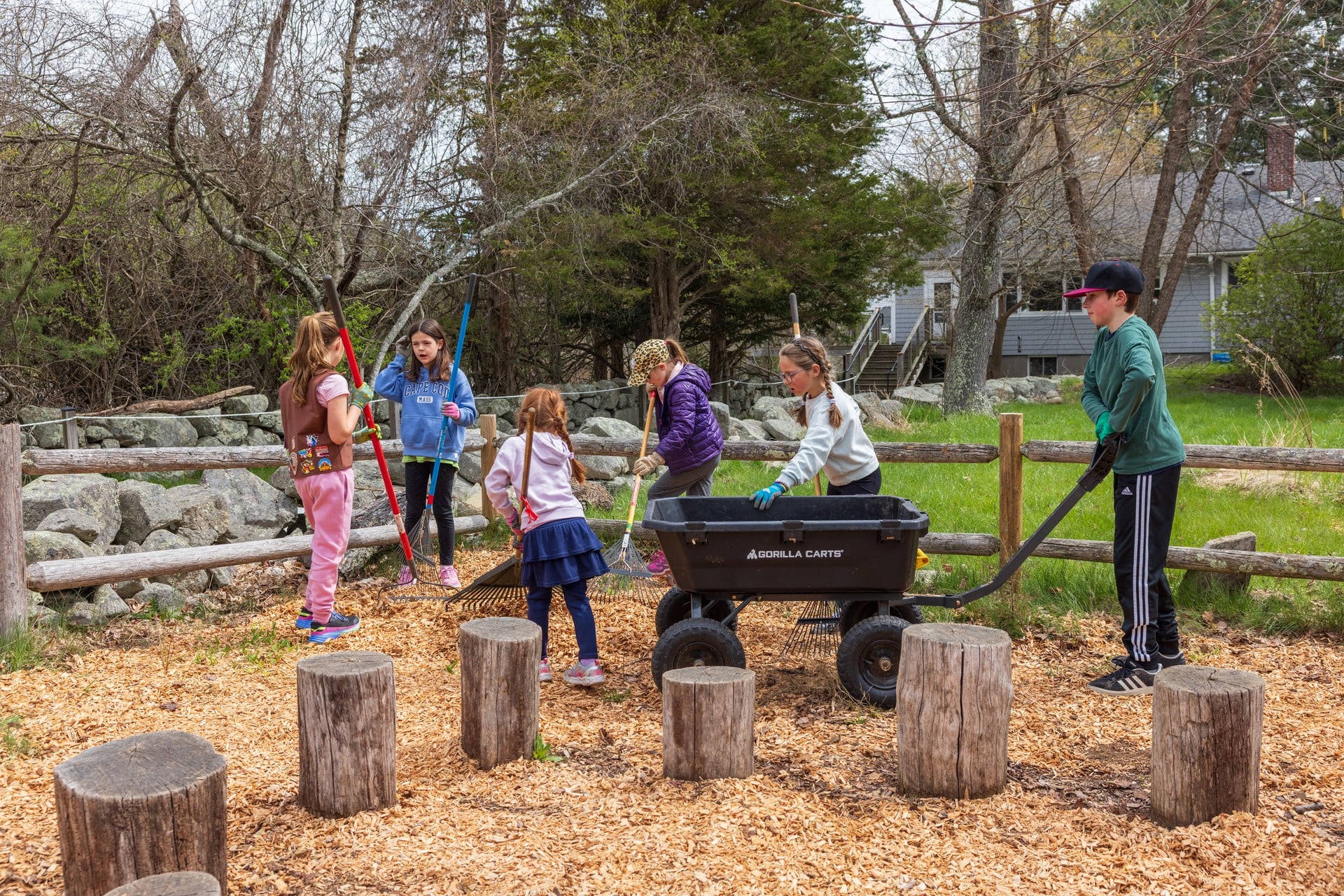 Children participate in Statewide Volunteer Day at Stony Brook.