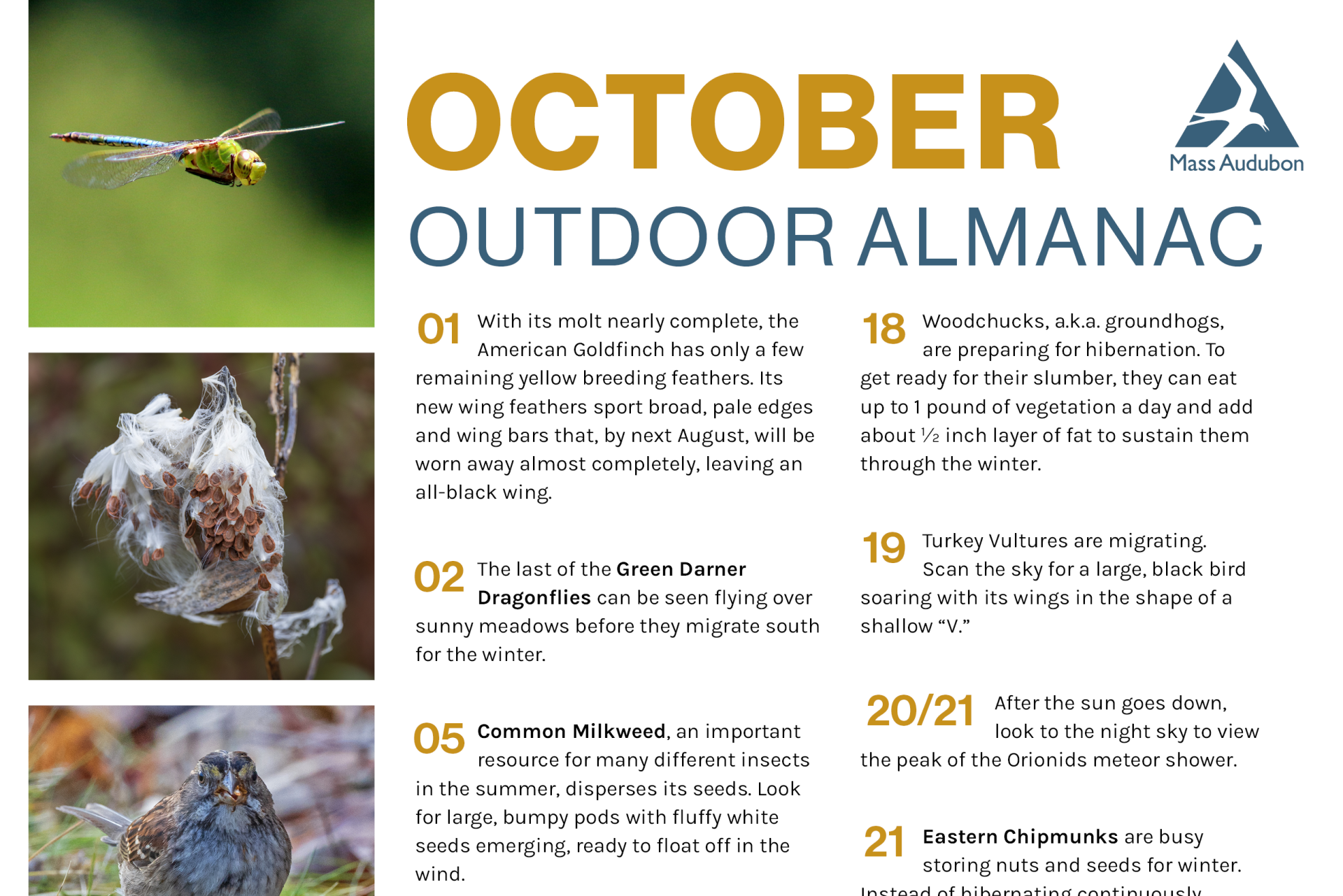 Preview of October 2025 Outdoor Almanac