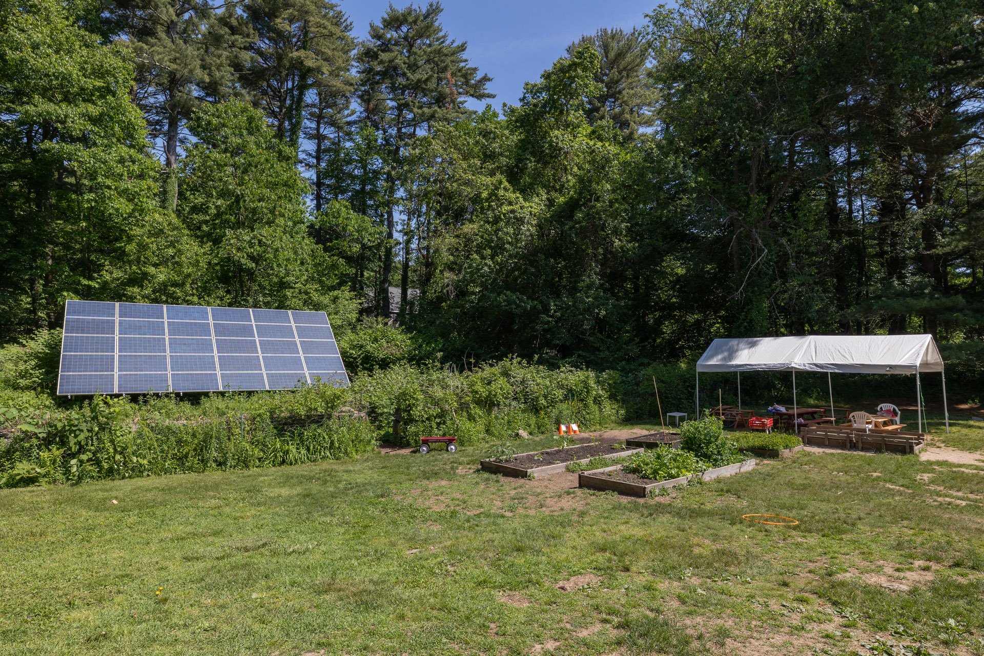 Solar panel in green vegetation to the left, and three garden plots and a white tent cover to the right.