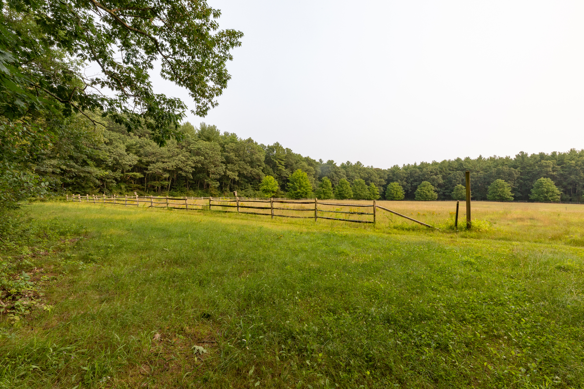 A grassy meadow lined by green pine trees. An old wooden fence running across the middle of the field.
