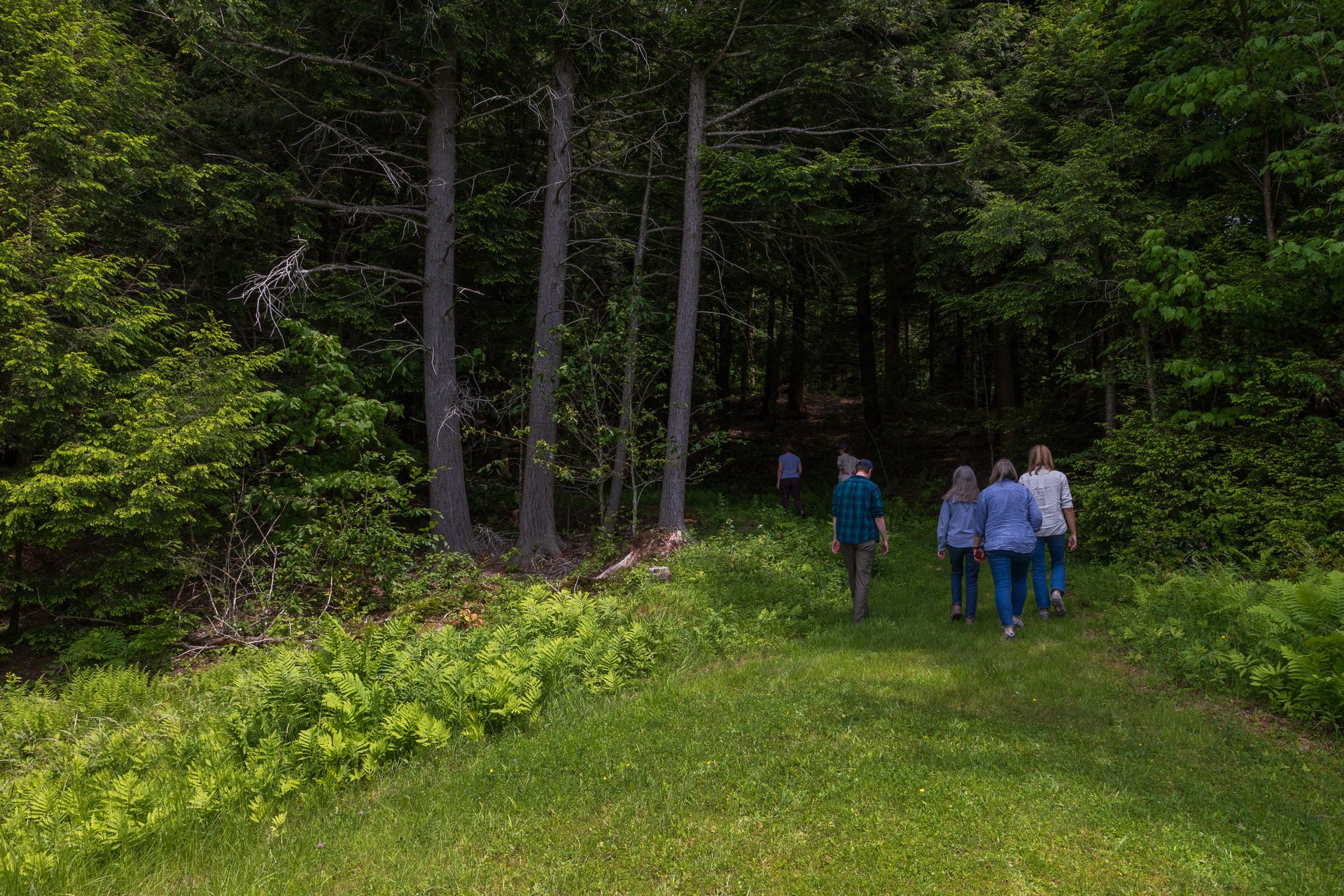 People walking into the forest