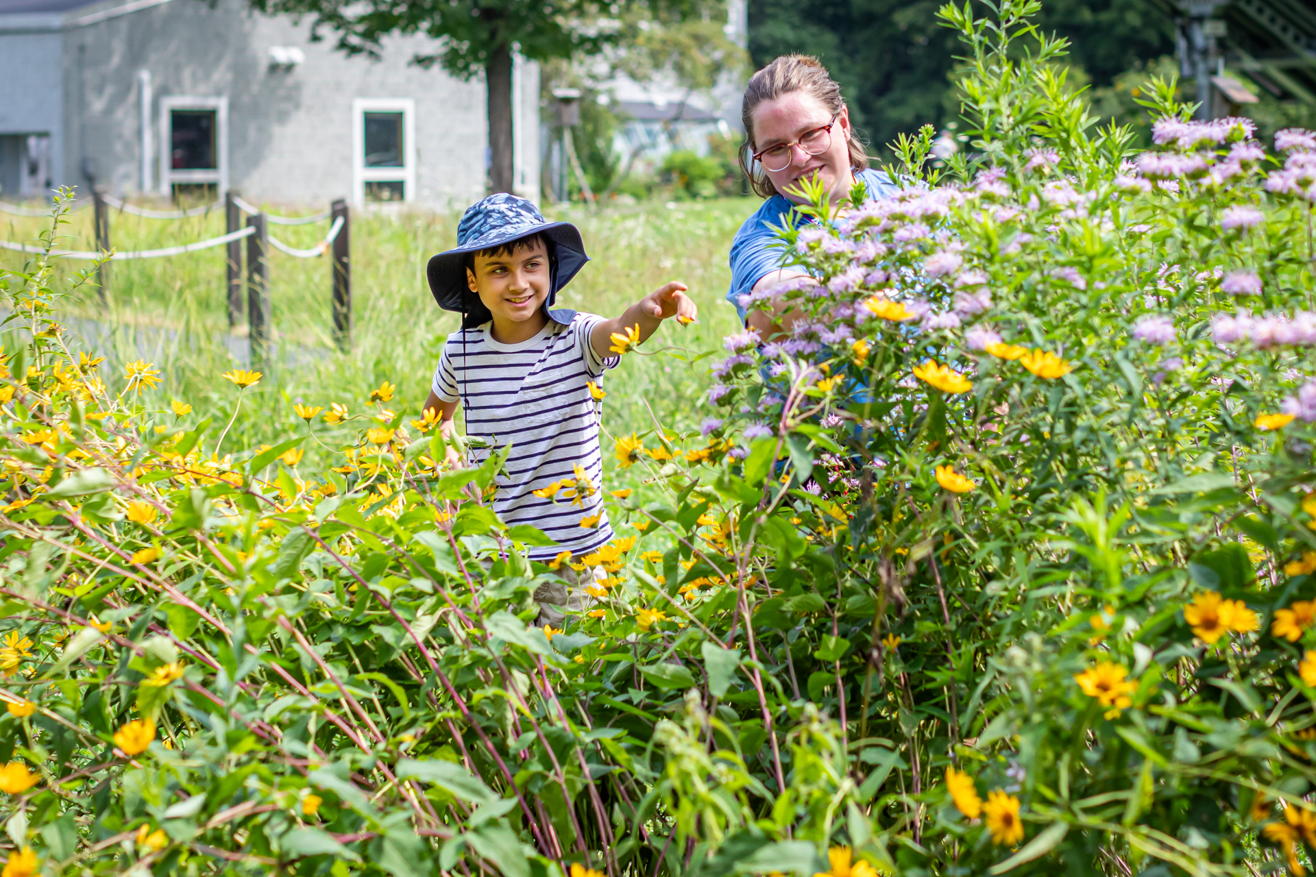 A camper and counselor at Arcadia Nature Camp inspect some wildflowers in one of the sanctuary's native pollinator gardens