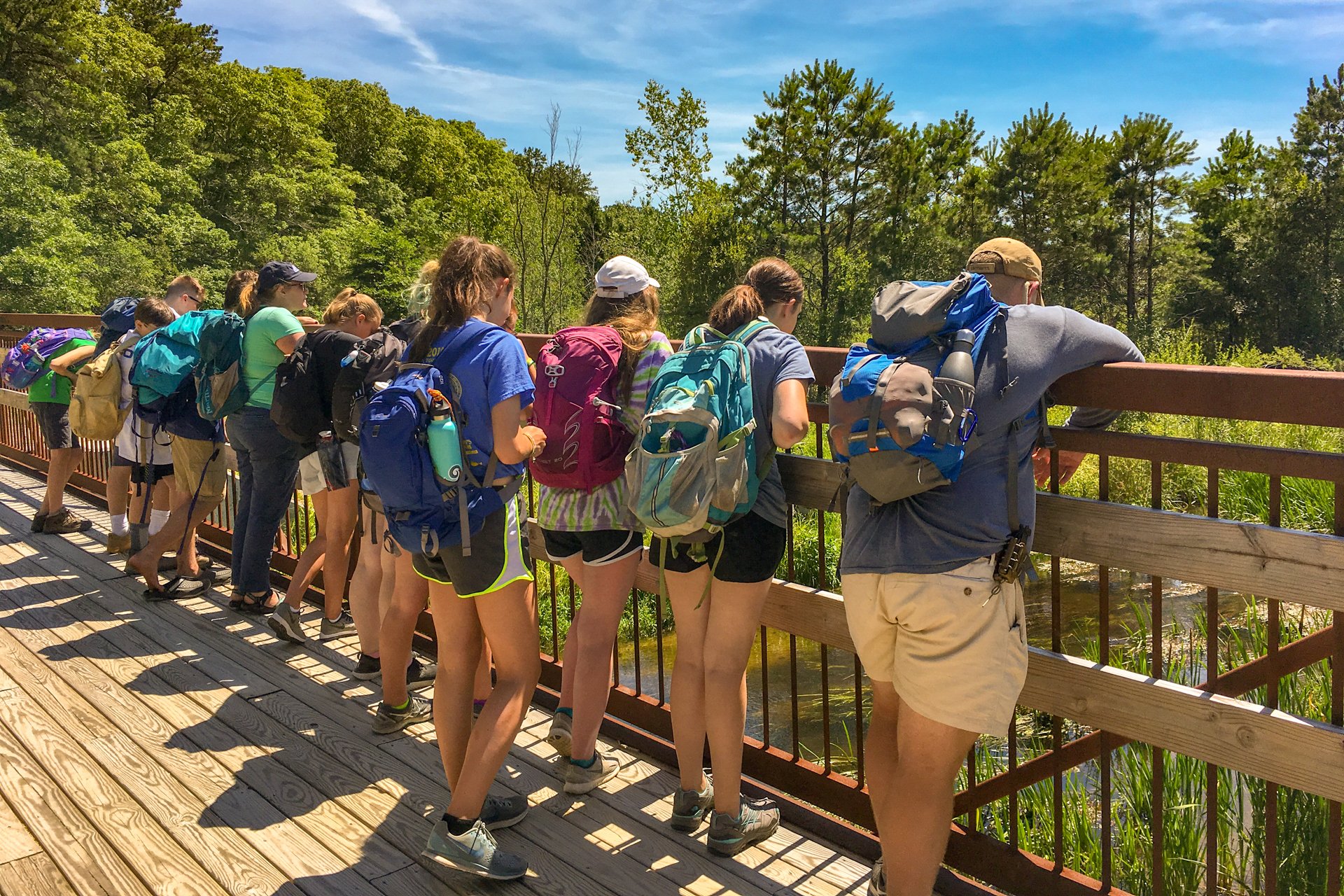 A group of teen trekkers in a line along a boardwalk railing looks out across a green wetland