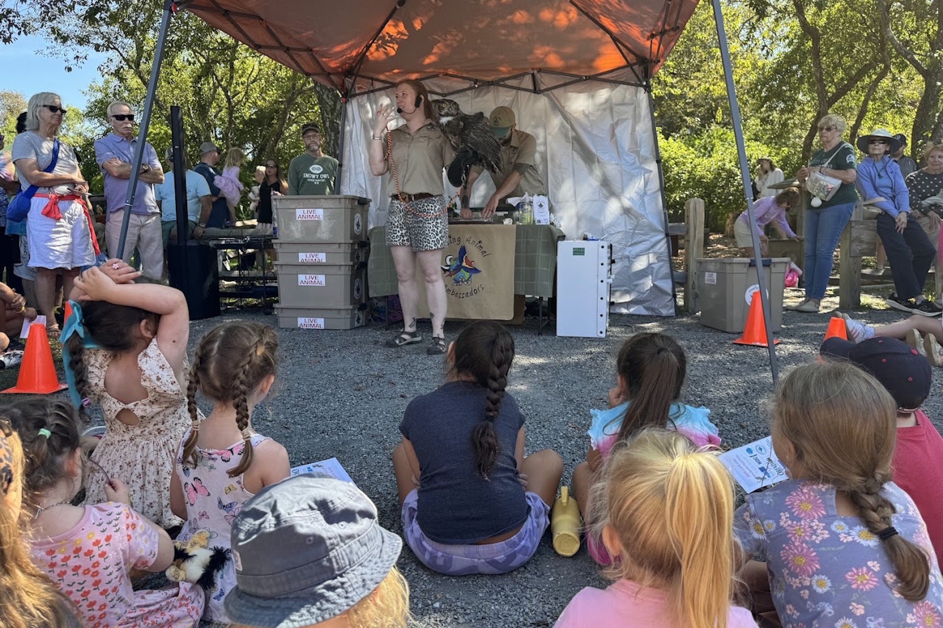 Educator showing off various animal ambassadors to a group
