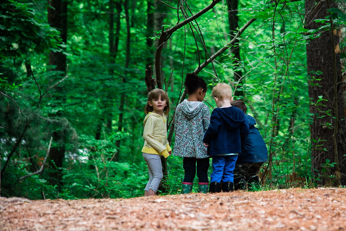 Four preschoolers in the woods