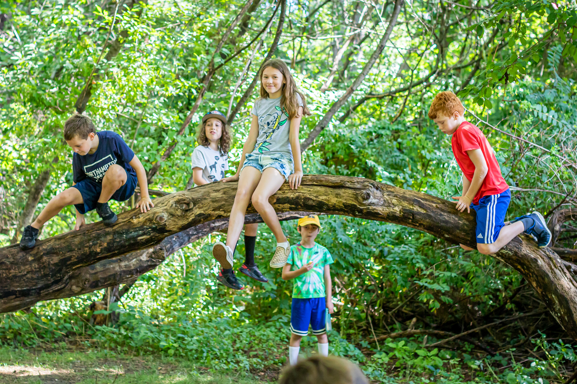 A group of campers at Arcadia Nature Camp climbing on a large, horizontal tree branch