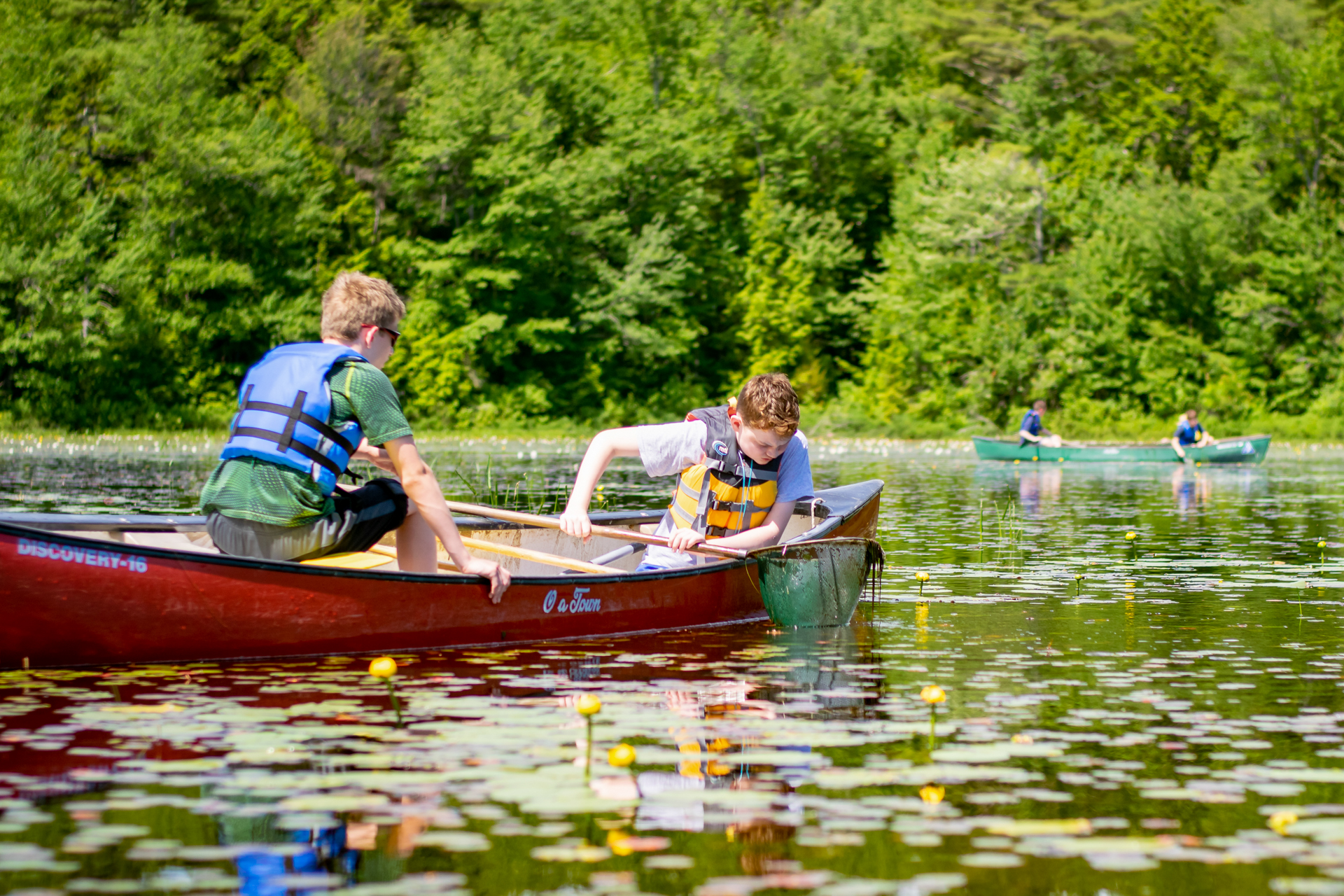 Two boys, both wearing life jackets, seated in a red canoe on calm lake water, surrounded by lily pads and yellow pond lily flowers. One camper is steadying the canoe while the other peers into a green ponding net he is holding over the water.
