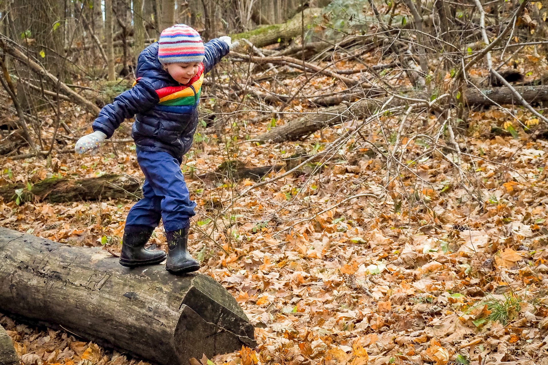 A preschooler at Drumlin Farm Community Preschool jumping off a log into autumn leaves, wearing a puffy coat, mittens, a warm hat, and rain boots.