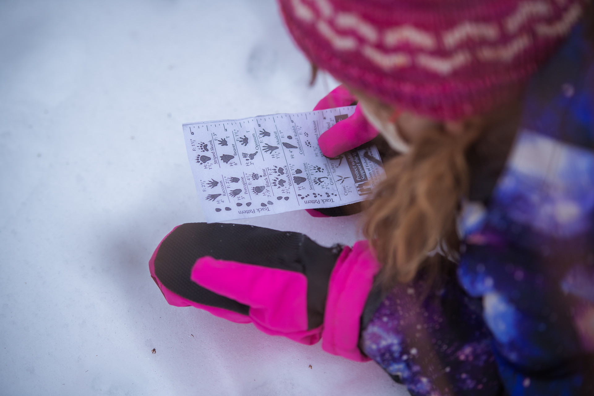 child comparing snow to tracking paper