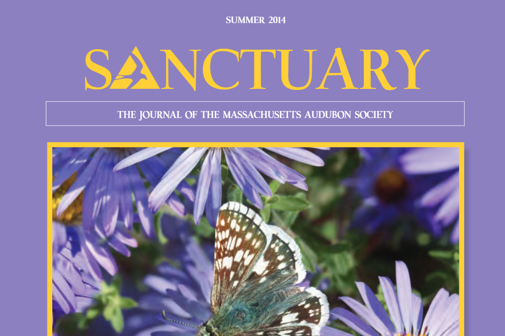 cover of sanctuary magazine from 2014