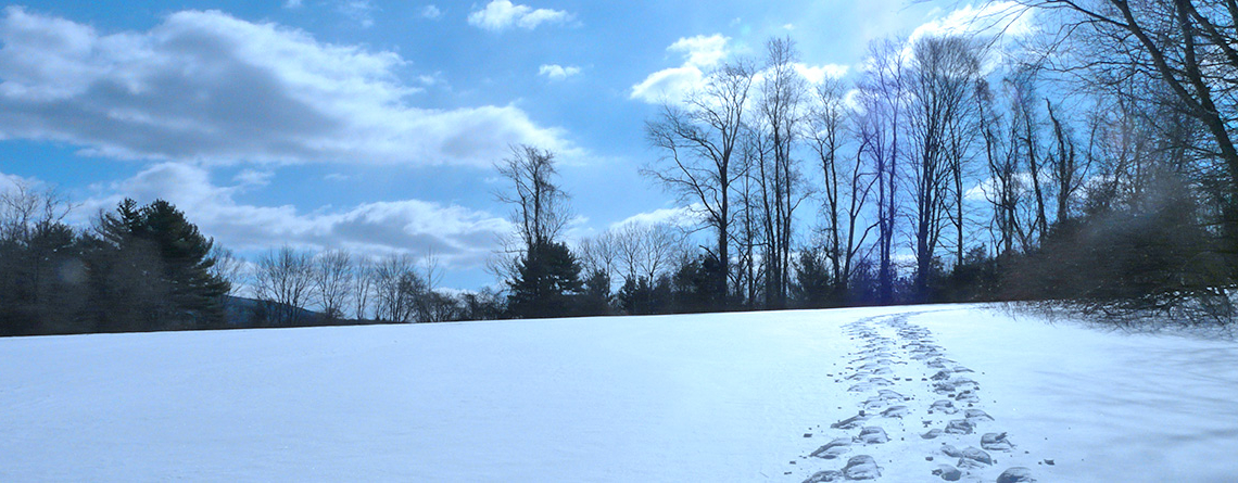 Hiker tracks in the snow at Lime Kiln Farm Wildlife Sanctuary