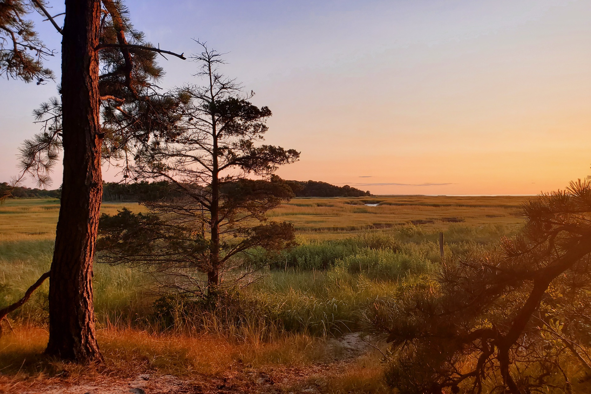 Sunset over wellfleet bay